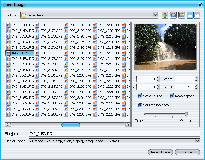 Image insert tool: choosing an image to insert